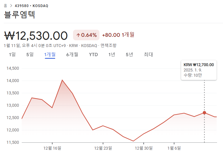 블루엠텍 주가