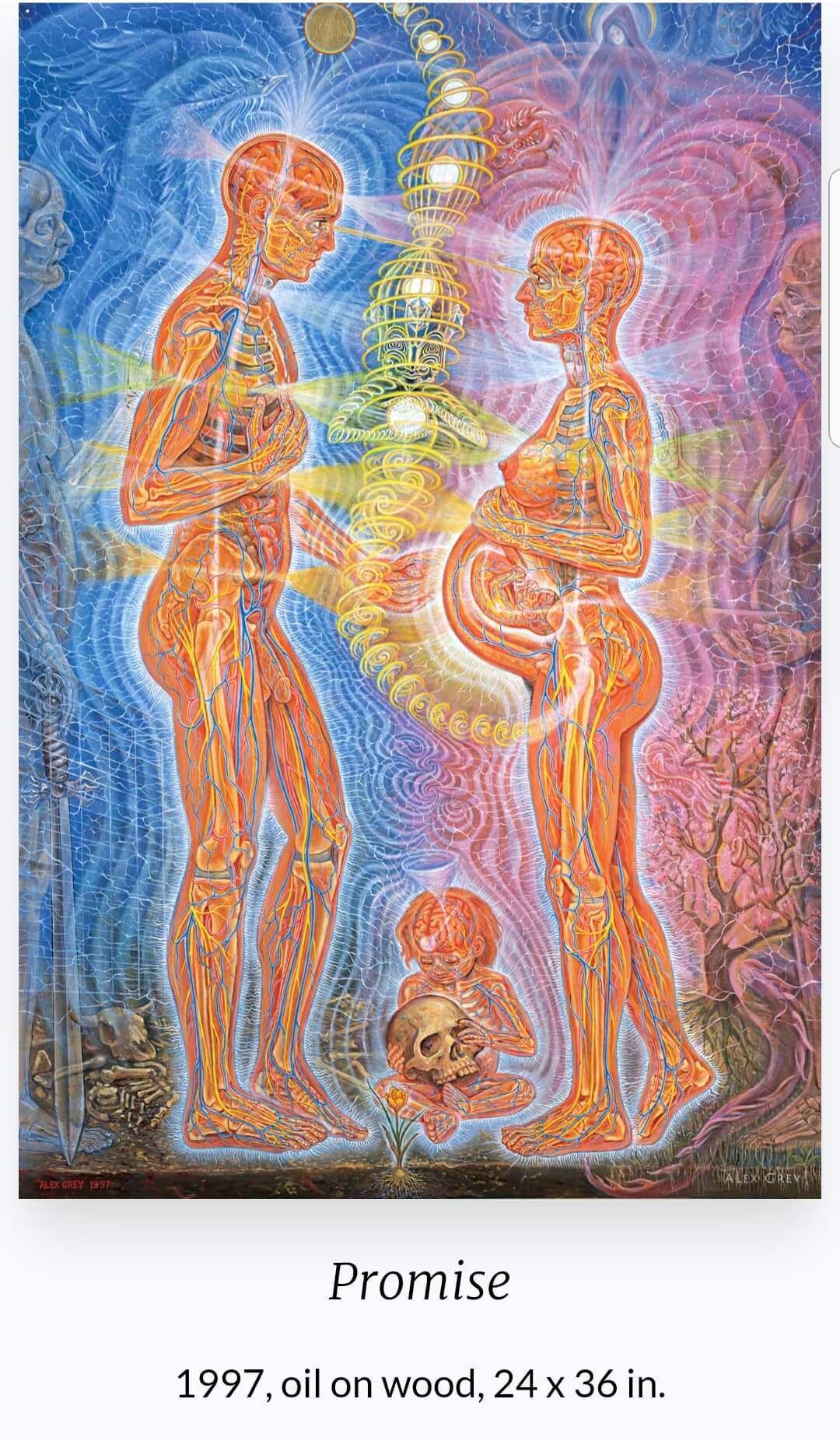 알렉스 그레이(Alex Grey&amp;#44; 1953~ ) 작품 &amp;#39;Promise&amp;#39;
