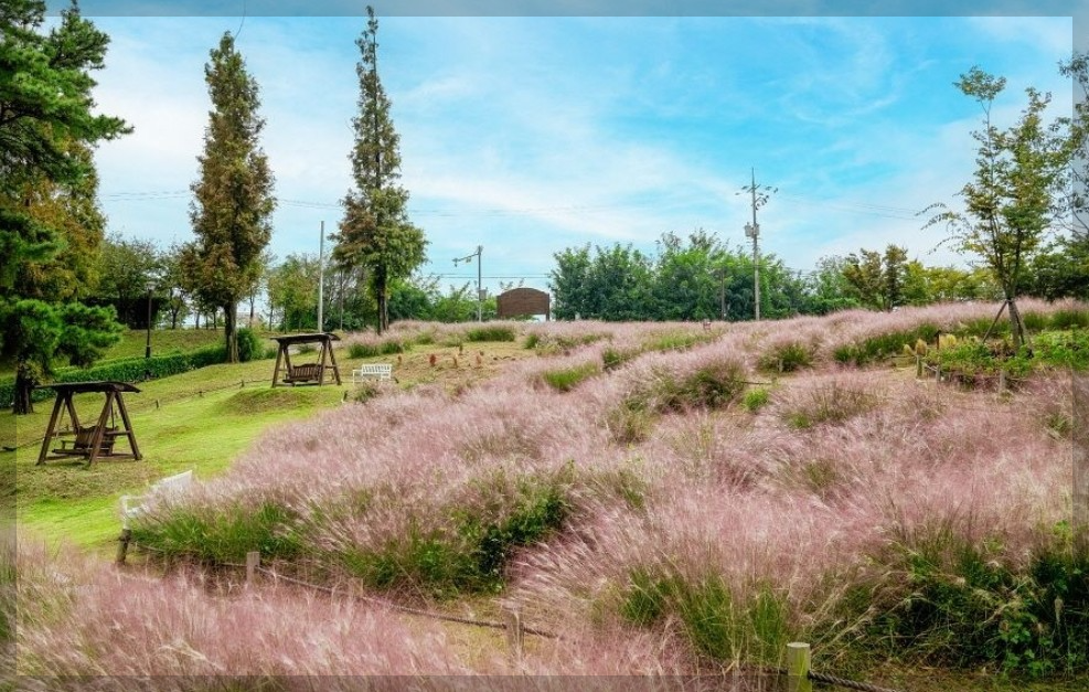 6월 국내 여행지 추천