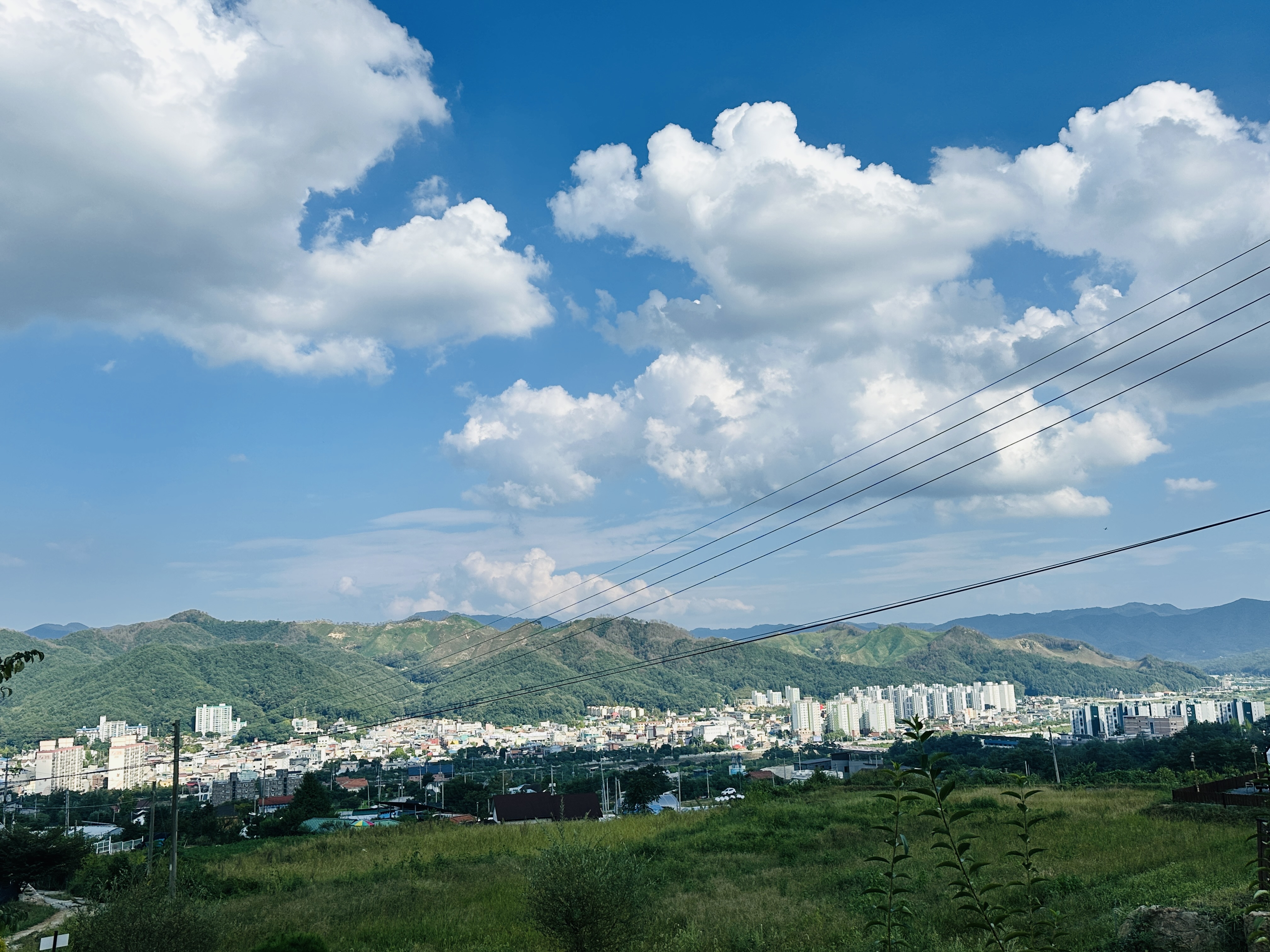 디지털 디톡스 중 새롭게 발견한 취미들– 화면을 덜어낸 삶에서 만난 아날로그의 기쁨