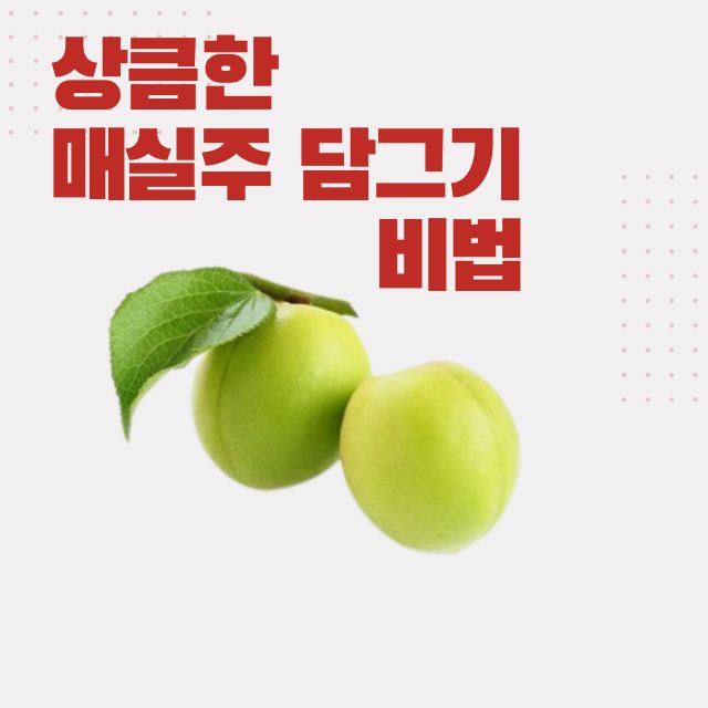 매실주 담그기