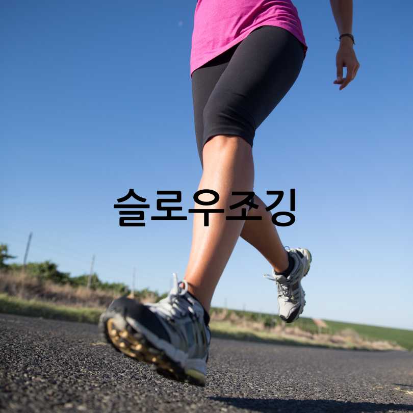 슬로우조깅동호회