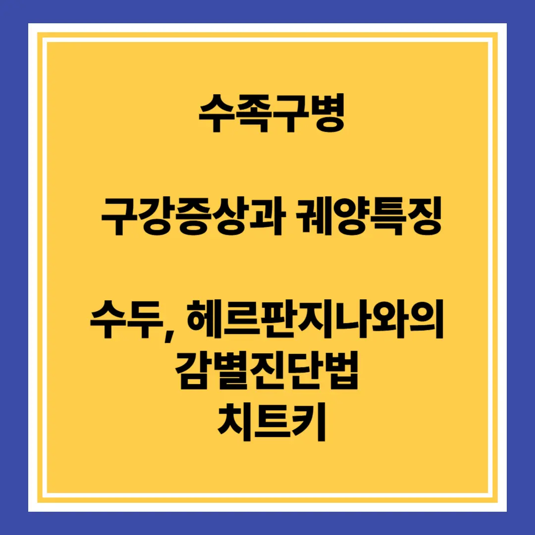 수족구병과 수두 헤르판지나 감별방법
