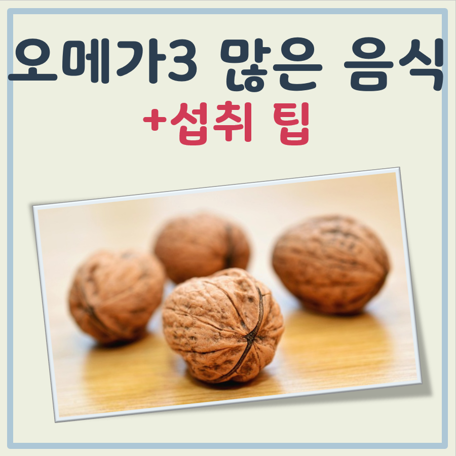 오메가3 많은 음식 대표 이미지