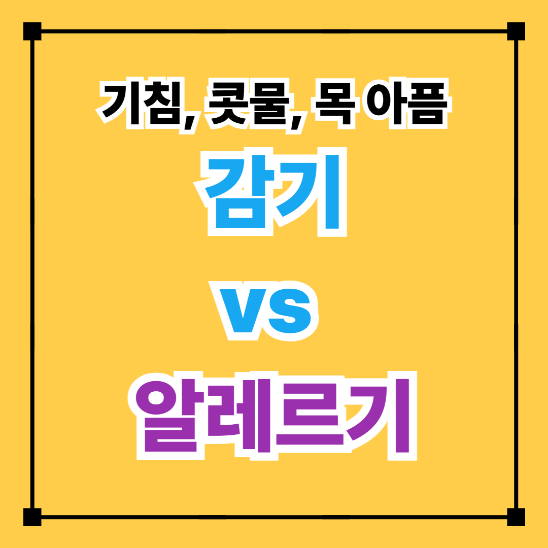 감기 vs 알레르기 판별법(기침, 콧물, 목 아픔)