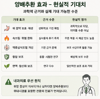 양배추환-효능-추천-유기농-효과-부작용-먹는법
