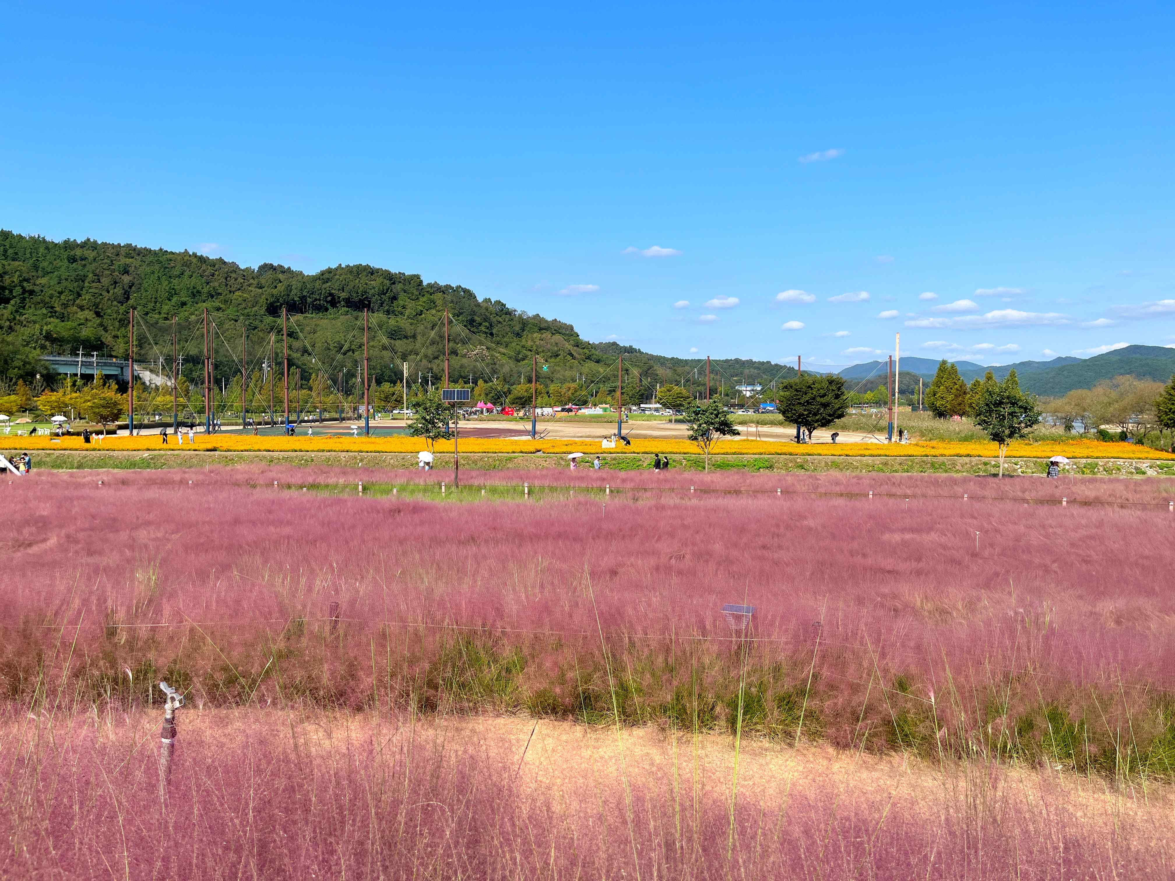신소양체육공원