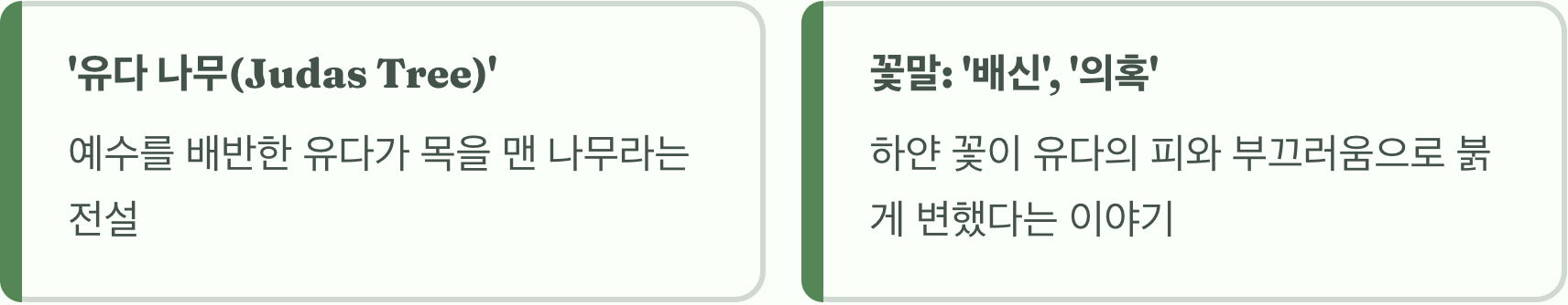 예수를 배반한 나무? 슬픈 전설