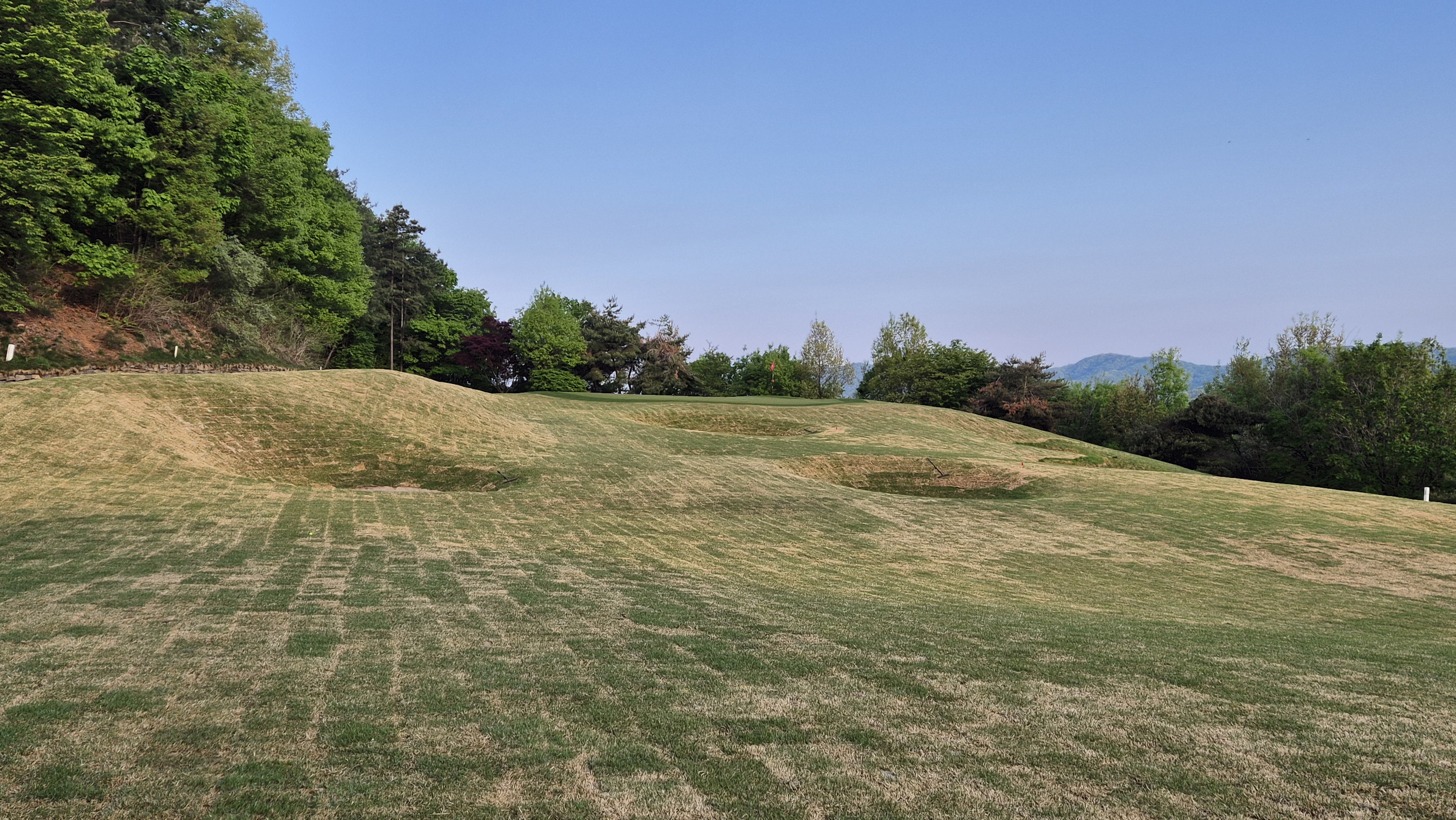 마에스트로cc 코스