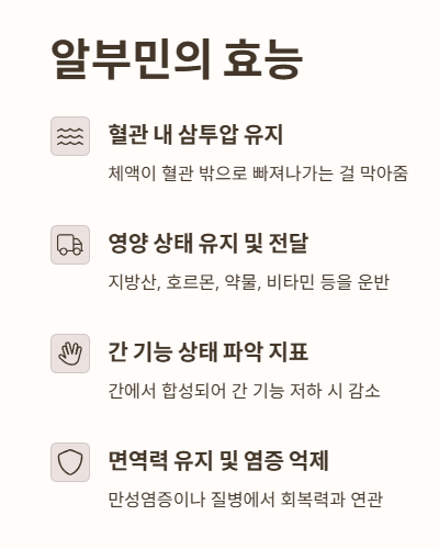 알부민의 효능