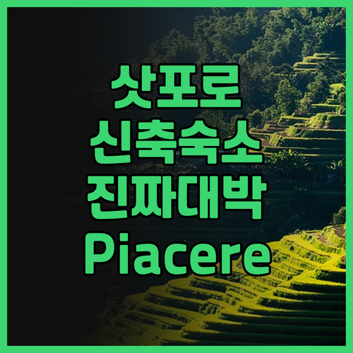 Piacere 201 후기! 2025..