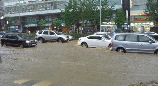 집중호우 재해지원금 신청