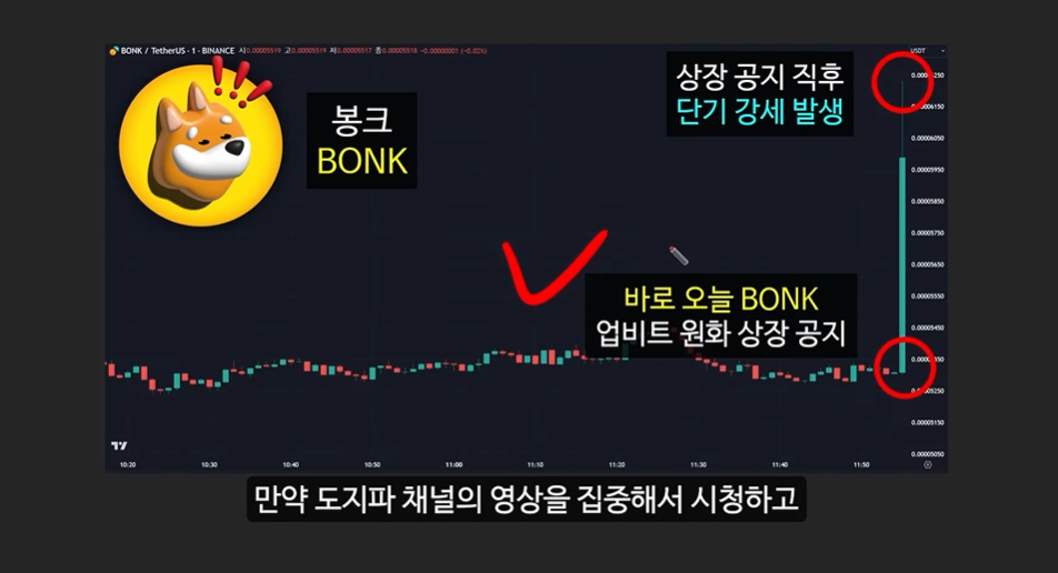 일론 머스크의 충격 발언과 도지코인, 플로키코인, 위프코인, 피넛코인, 프레드 코인의 강력한 상승 가능성 분석