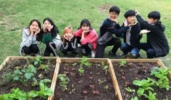 텃밭 가꾸기 모종 선택 파종 시기 물주기 비료 초보 가이드_15