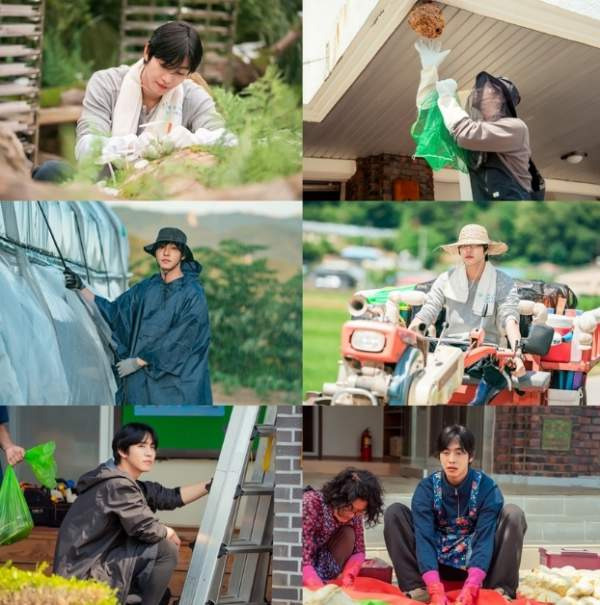 오늘도 매진했습니다 몇부작, 줄거리, 출연진, 등장인물관계도, OTT, 촬영지, 시청률, 재방송 편성표까지 완벽 분석(안효섭, 채원빈, 김범)