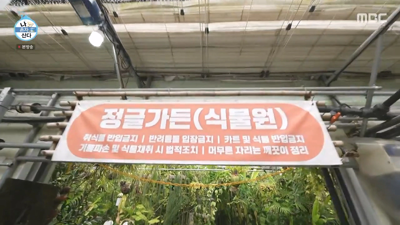 조인폴리아 근처 맛집