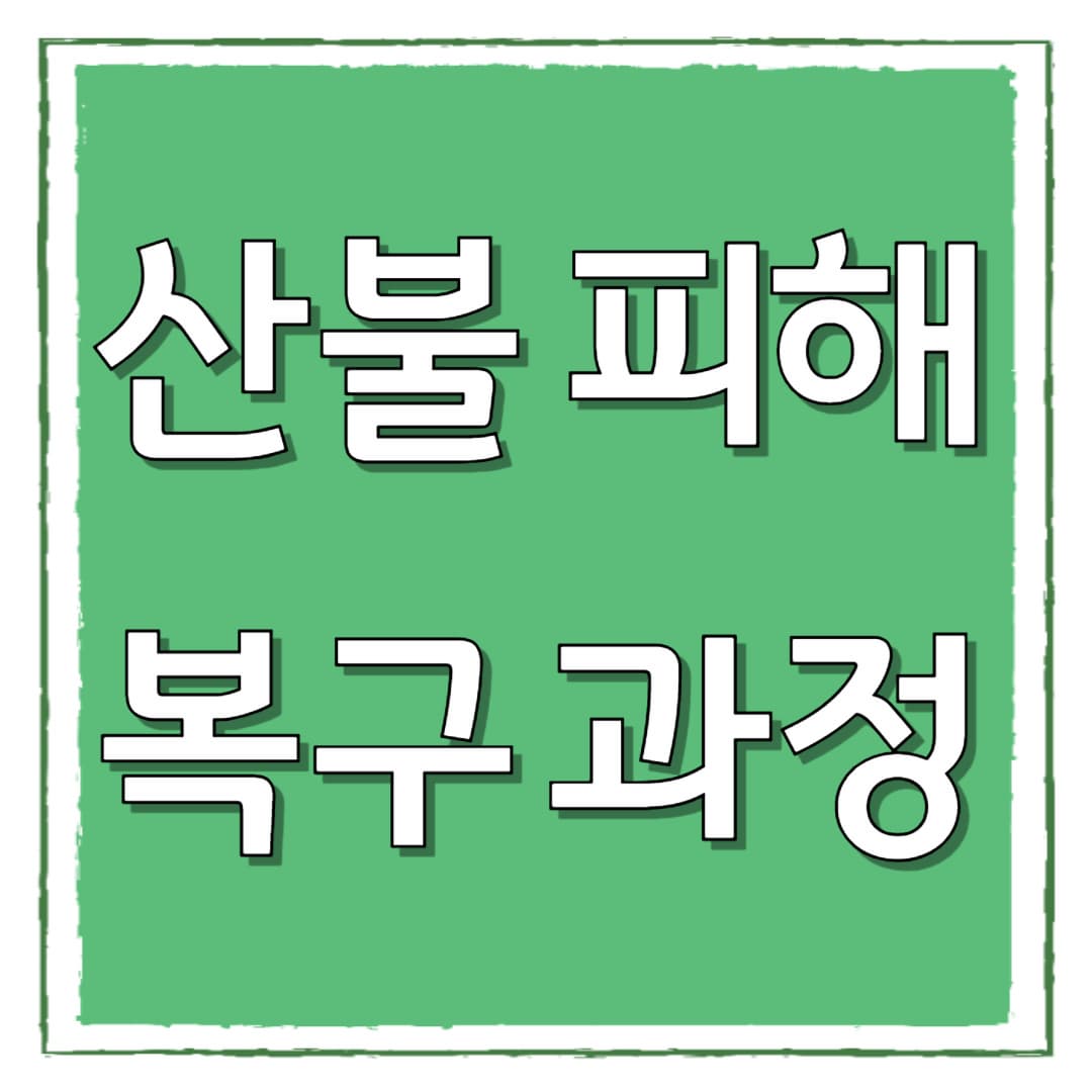 산불 피해 복구, 얼마나 걸릴까? 자연과 경제가 회복되는 과정