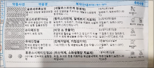 부비동염 처방약