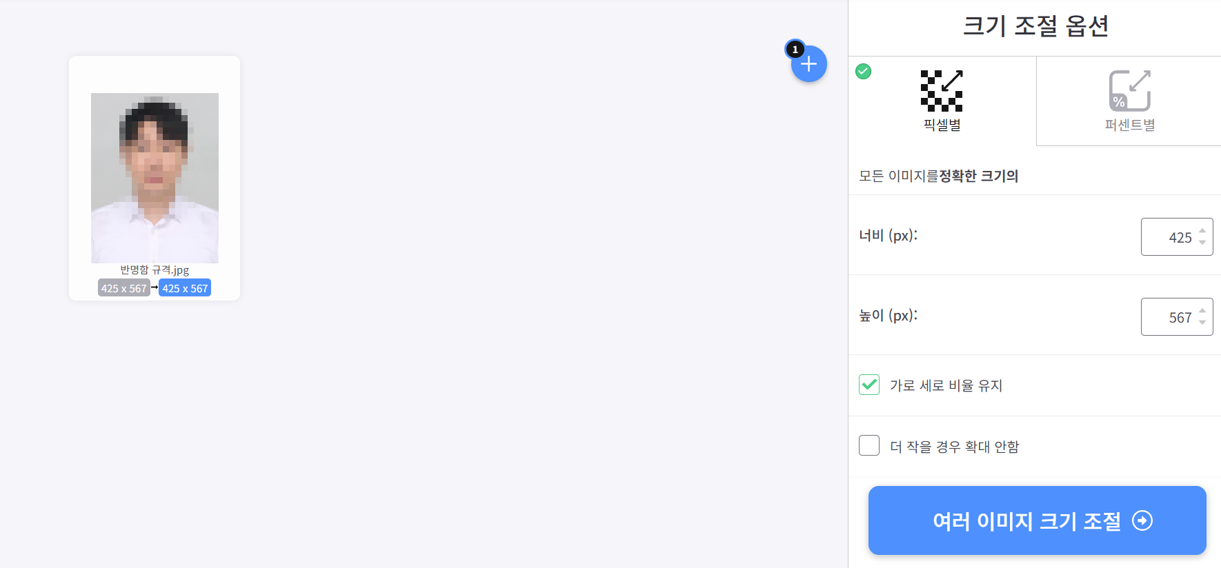 사진 사이즈를 픽셀로 수정하기