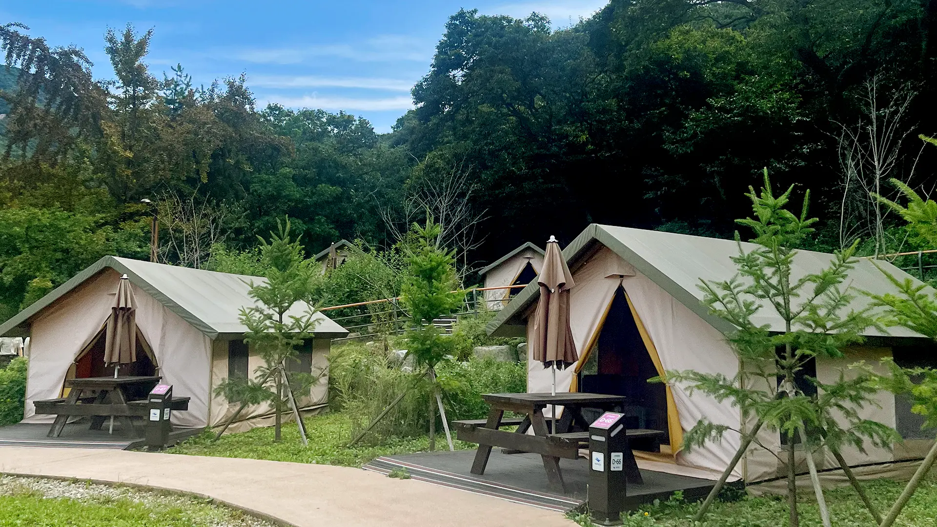 우수 공공야영장 20곳 소개 가족 반려동물 교통약자 친환경 자동차 캠핑장 문체부 한국관광공사 선정