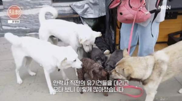 김세인 생활고 고백