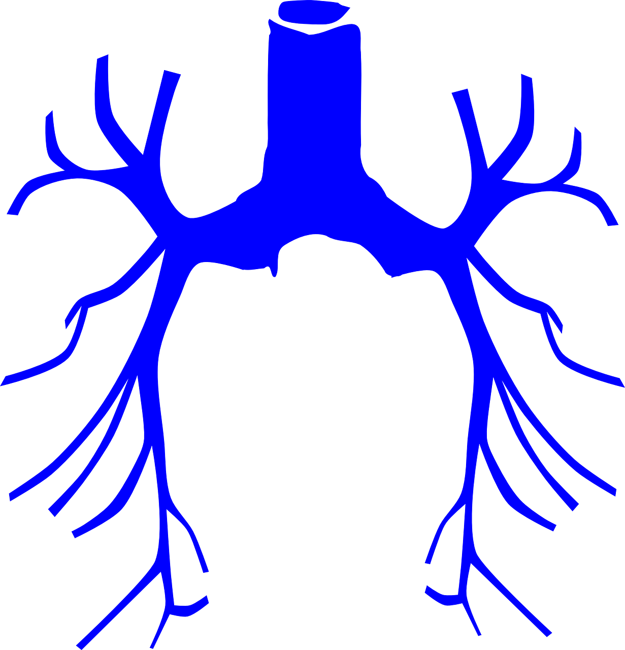 폐기종(Emphysema)이란? : 호흡이 점점 힘들어지는 병, 조기 대처가 관건입니다