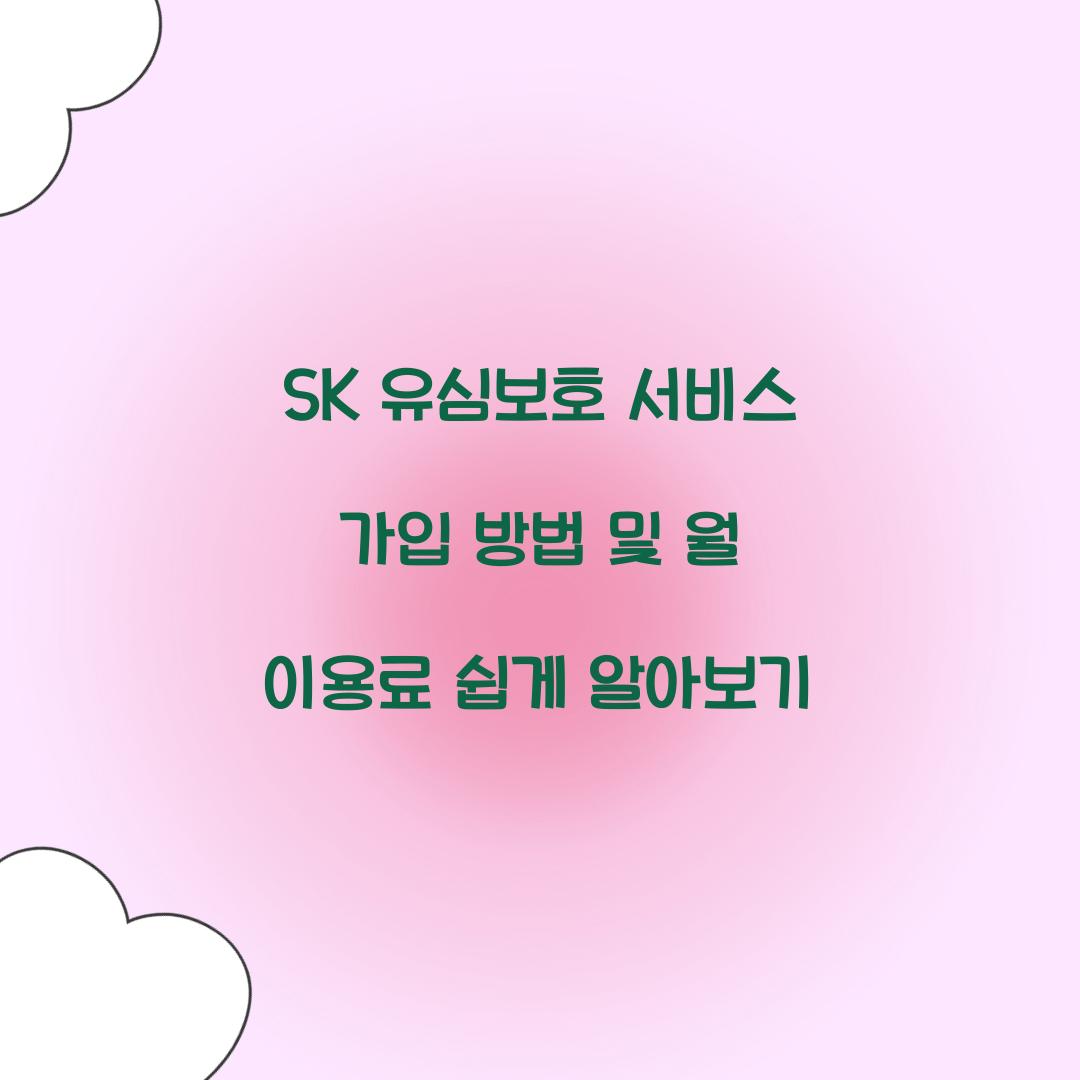 SK 유심보호 서비스 가입 방법 및 월 이용료 안내