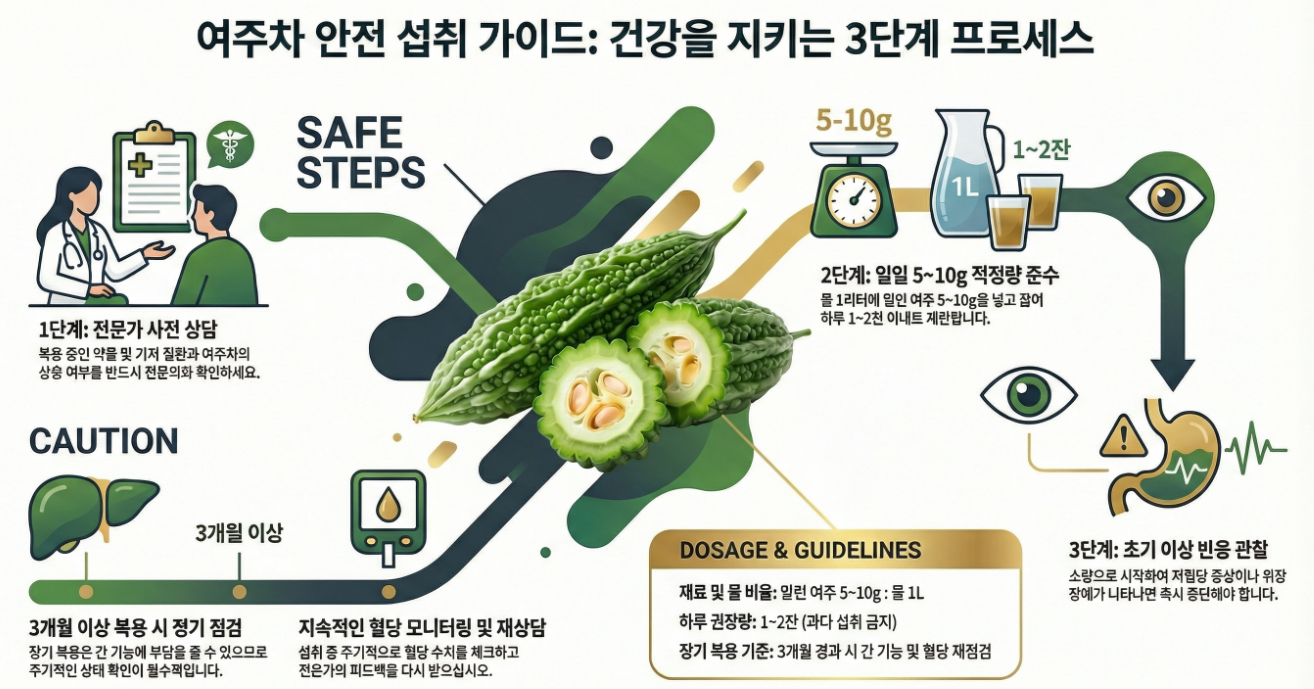 여주차 안전 섭취 가이드 인포그래픽