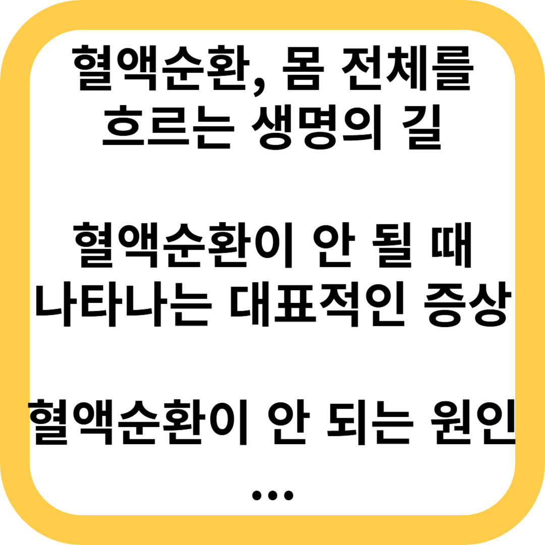 혈액순환
