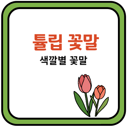 튤립꽃말