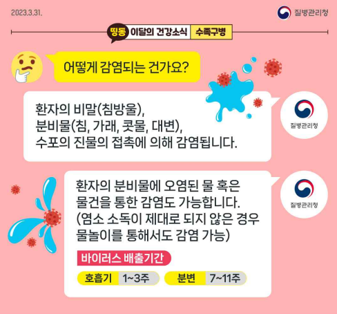 손발입병의 전염 경로와 예방법 질병관리청제공