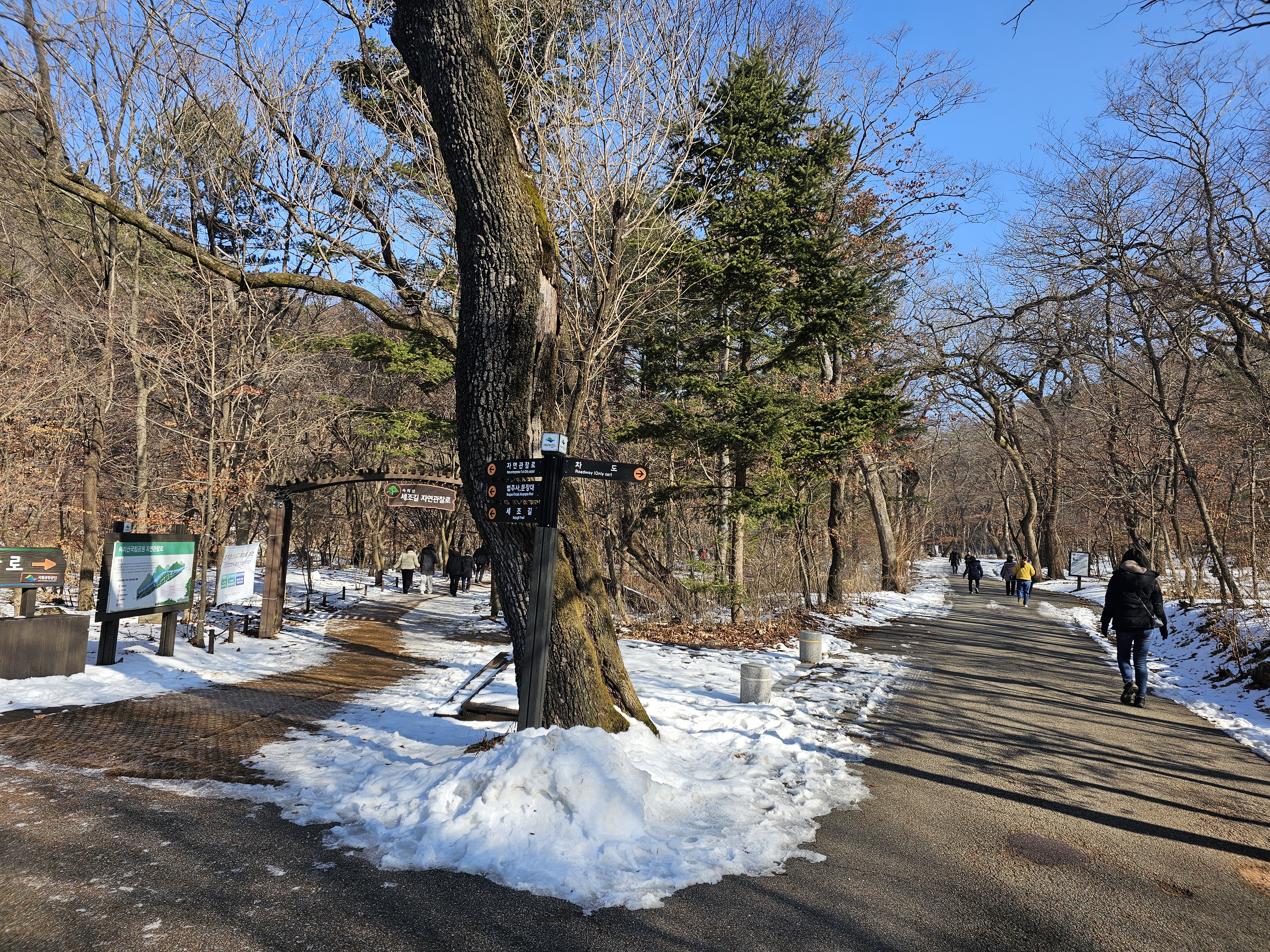 속리산 세조길 사진