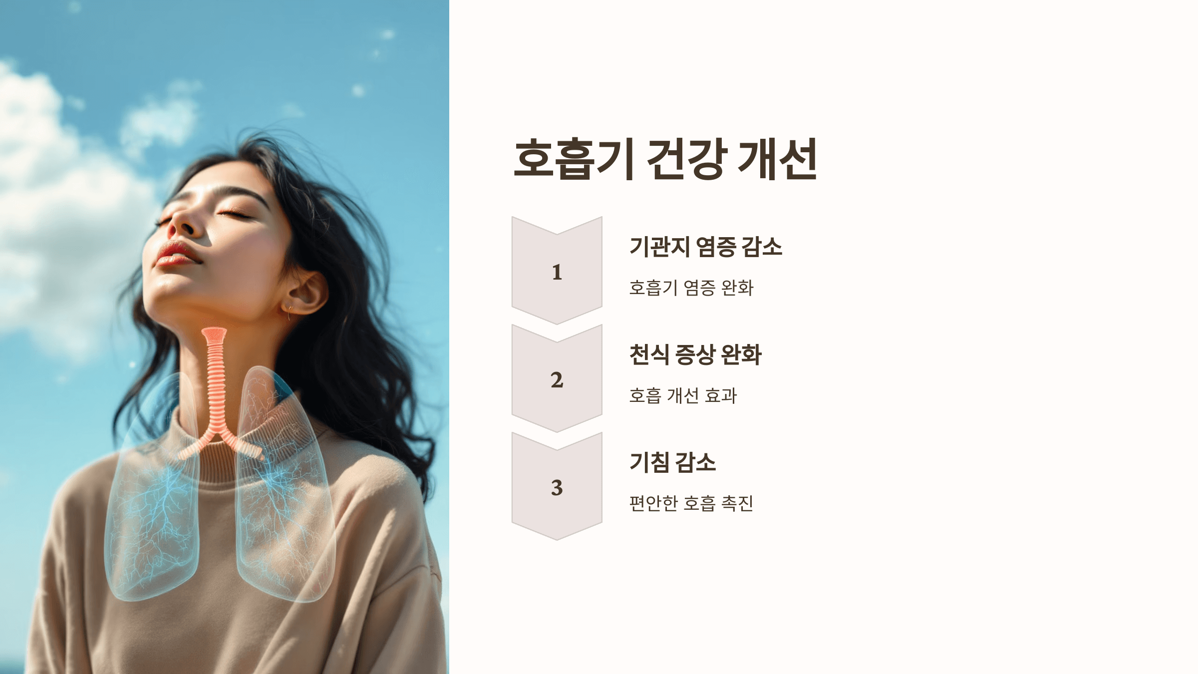 보스웰리아와 관련된 사진입니다.