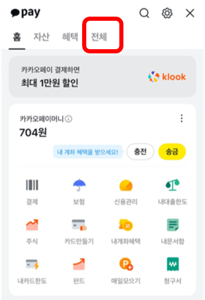 카톡 정부지원금 조회