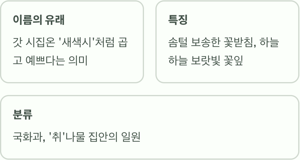 '새색시'처럼 고운 꽃, 이름의 비밀