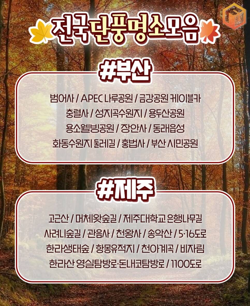 2024 가을축제 단풍명소 모음
