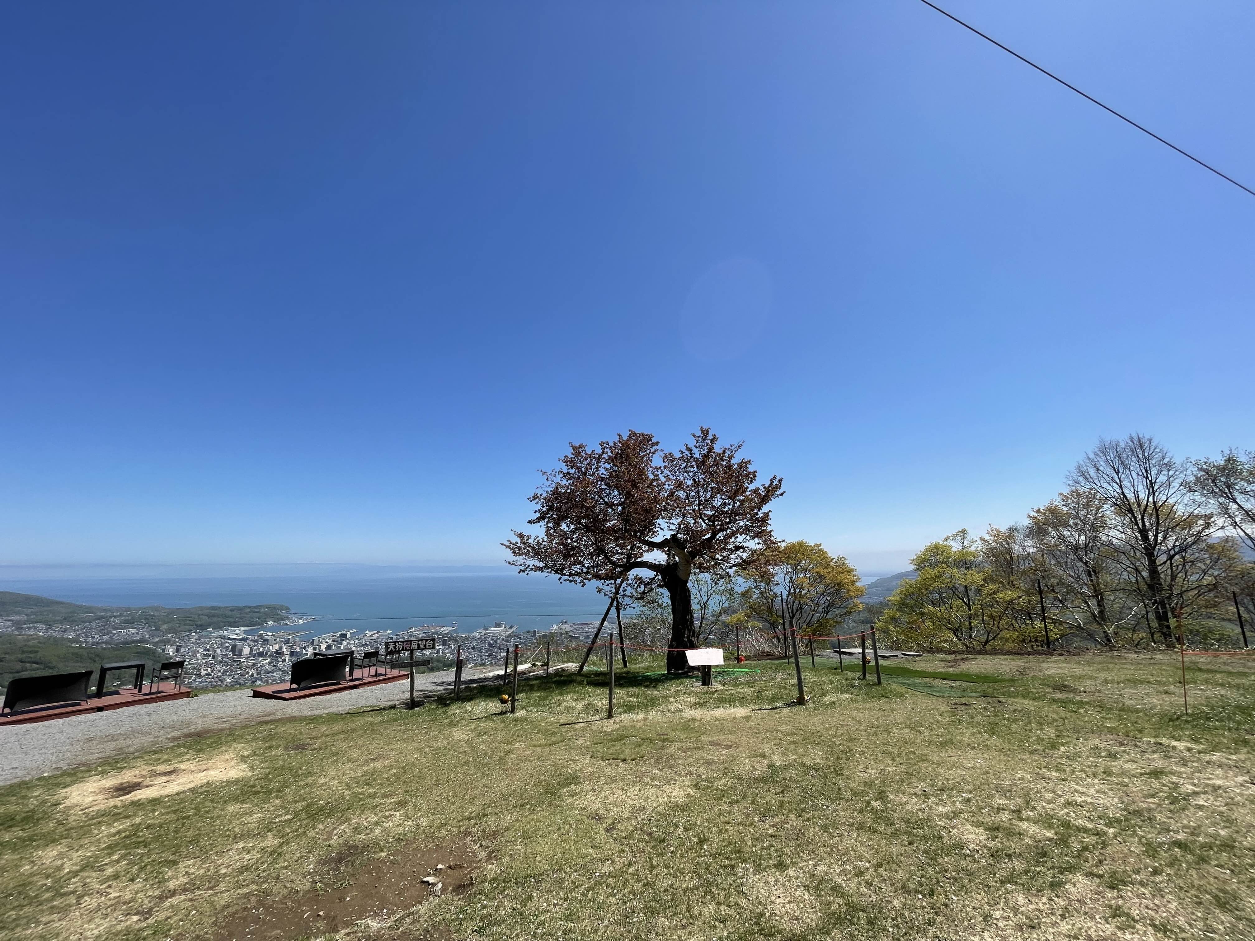 전망대의 모습