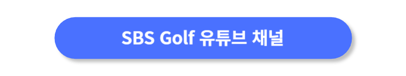 버튼