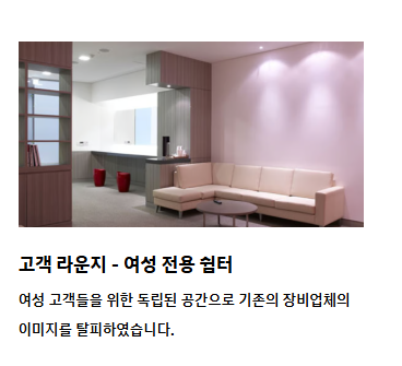 현대 블루핸즈 이용 장점
