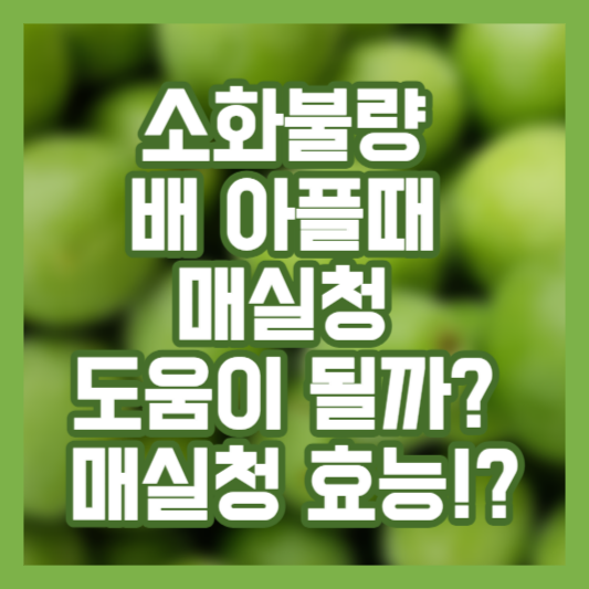 소화불량 배 아플때 매실청 도움이 될까? 매실청 효능!?