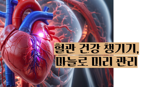마늘 효능