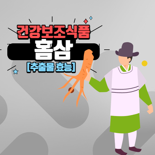 홍삼 액기스 건강보조식품 효능