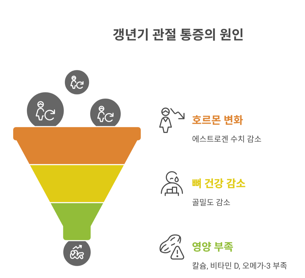 갱년기에 관절 통증이 생기는 이유는?