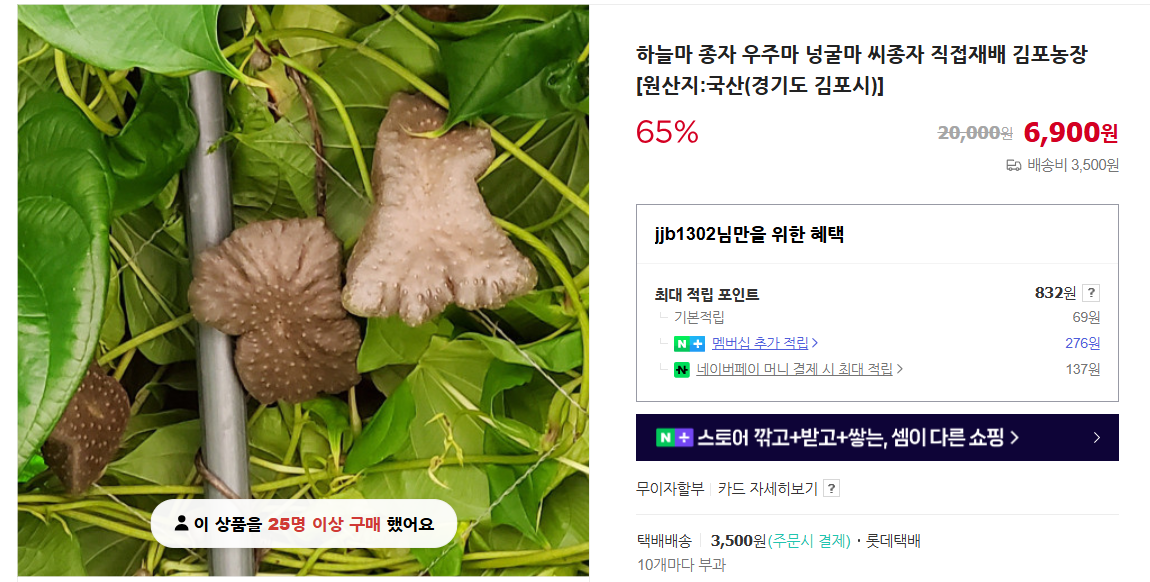 하늘마 먹는 방법 및 7가지 효능 (+ 재배법 수확시기 요리)
