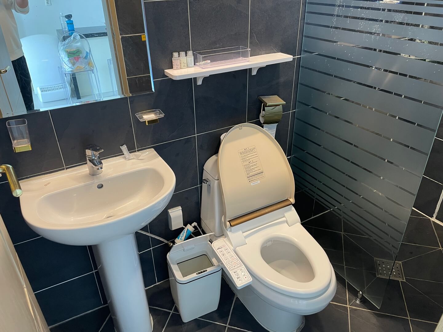 엘시아 애견풀빌라