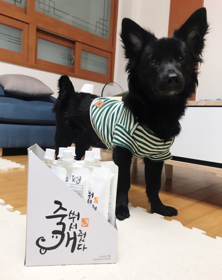 강아지간식 죽쒀서개줬다
