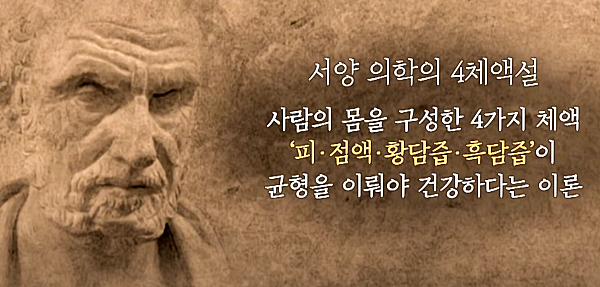 서양의학의 음식궁합_이미지:JTBC유튜브