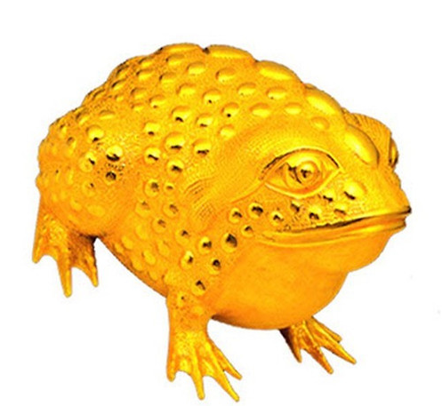 오늘의 금 시세