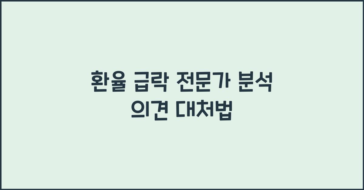 환율 급락 전문가 분석 의견