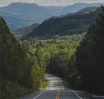 정선 로미지안가든 입장료 예약방법